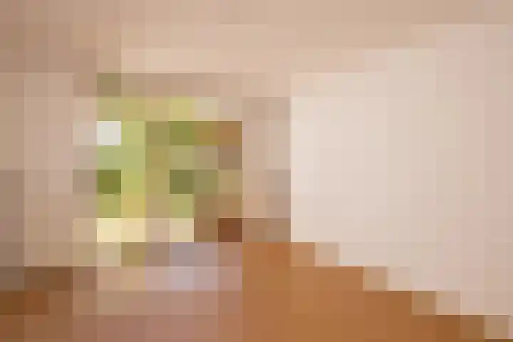 Vijverlaan 2 Sassenheim thumbnail 10