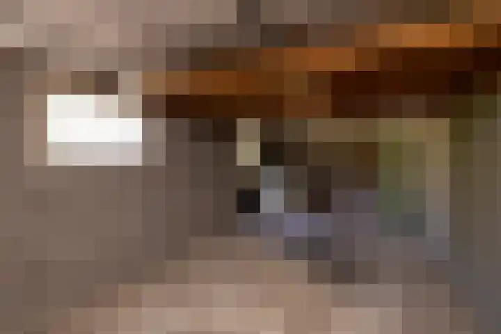 Vijverlaan 2 Sassenheim thumbnail 17