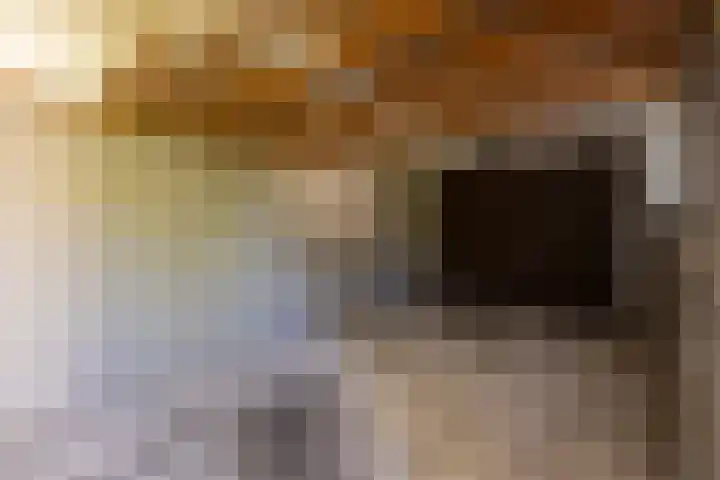 Vijverlaan 2 Sassenheim thumbnail 18