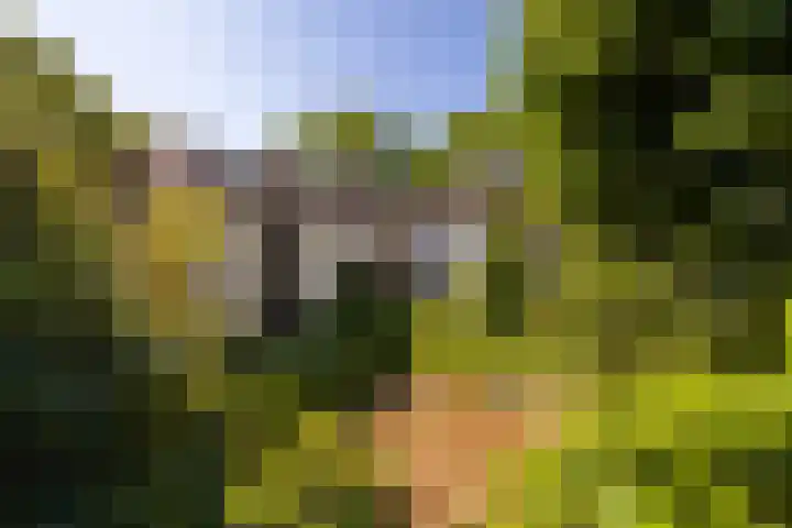 Vijverlaan 2 Sassenheim thumbnail 20