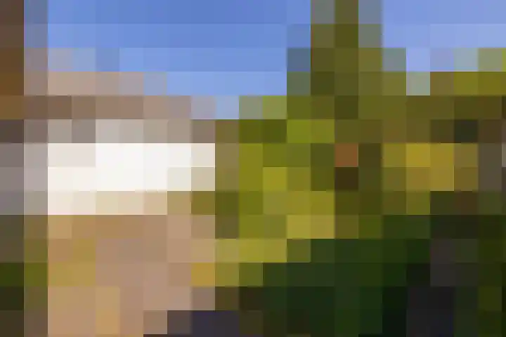 Vijverlaan 2 Sassenheim thumbnail 22