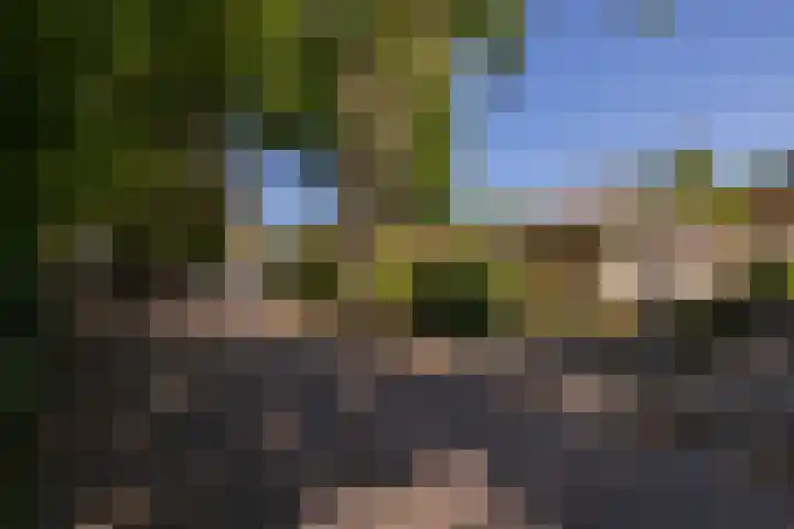 Vijverlaan 2 Sassenheim thumbnail 23