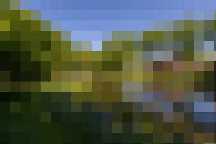 Vijverlaan 2 Sassenheim thumbnail 24