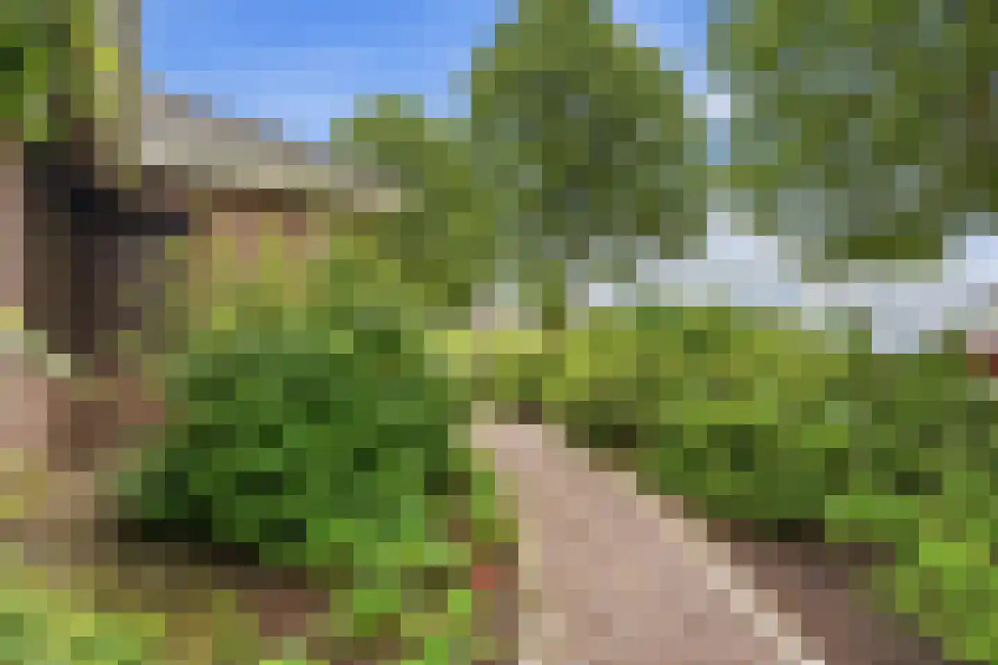 Vijverlaan 20 A Wijchen thumbnail 32