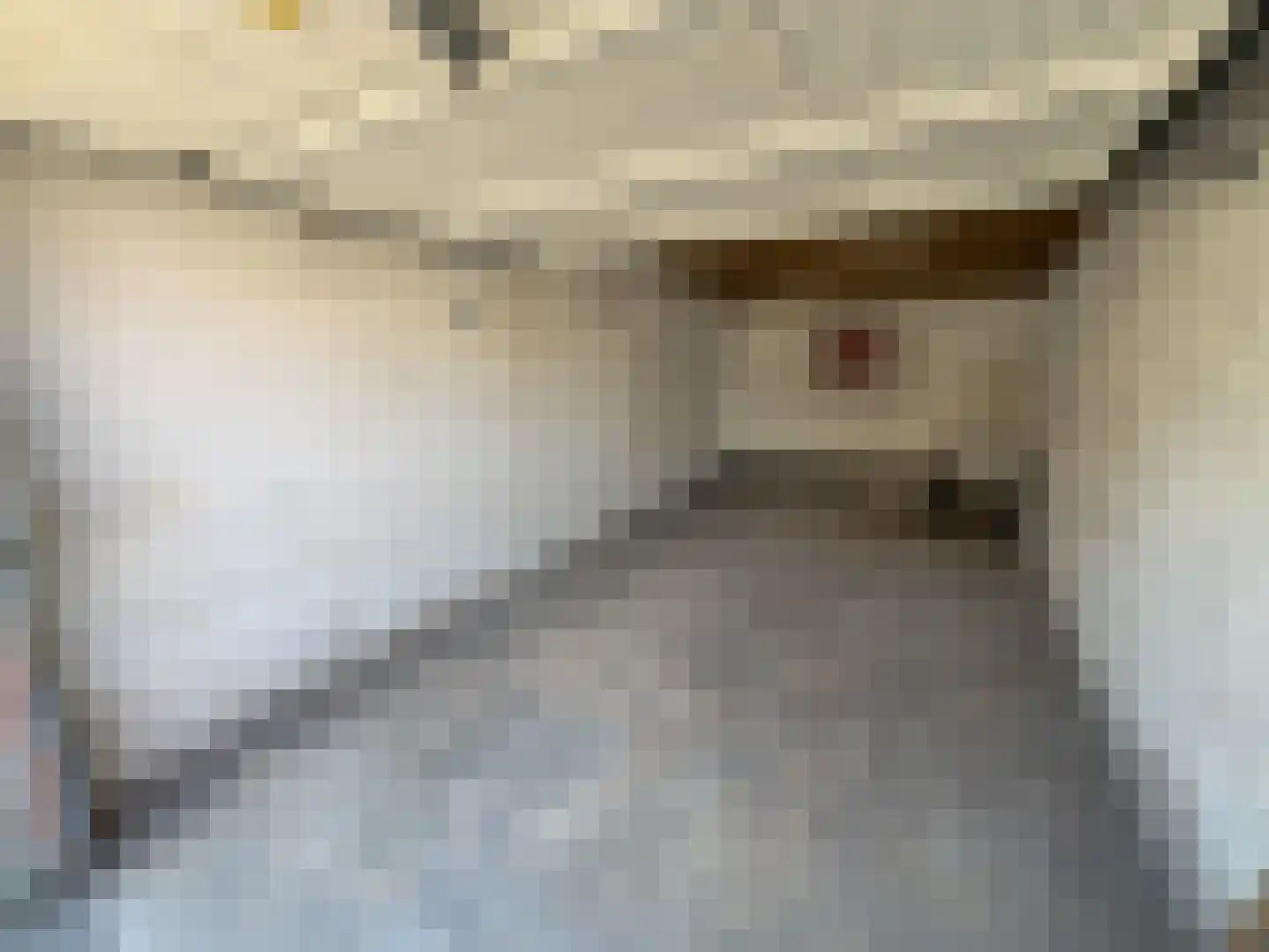 Vijverlaan 20 E Waddinxveen thumbnail 4