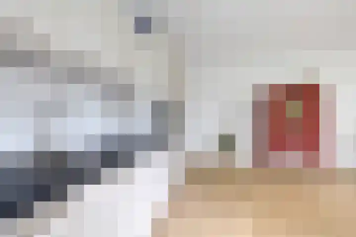 Vijverlaan 20 Heerenveen thumbnail 13
