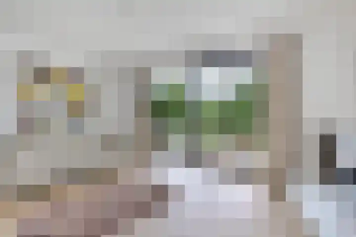 Vijverlaan 20 Heerenveen thumbnail 17
