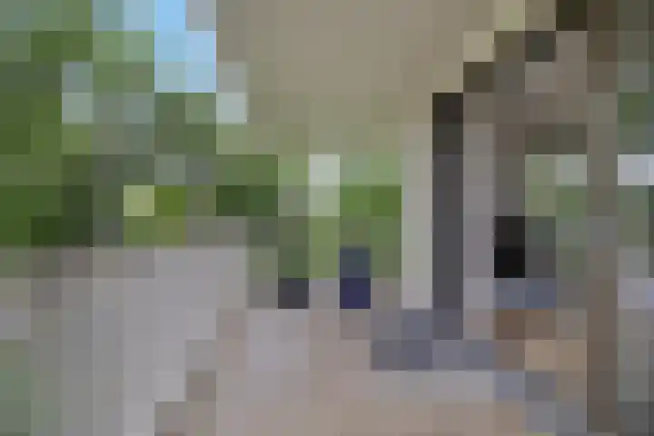 Vijverlaan 20 Heerenveen thumbnail 18