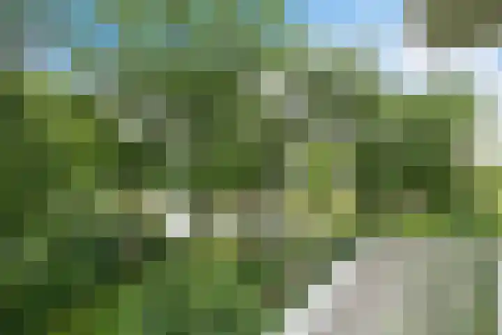 Vijverlaan 20 Heerenveen thumbnail 20