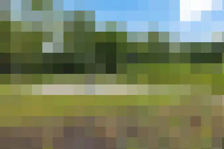 Vijverlaan 20 Heerenveen thumbnail 39