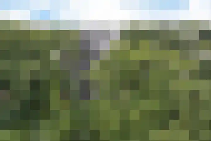 Vijverlaan 20 Heerenveen thumbnail 42