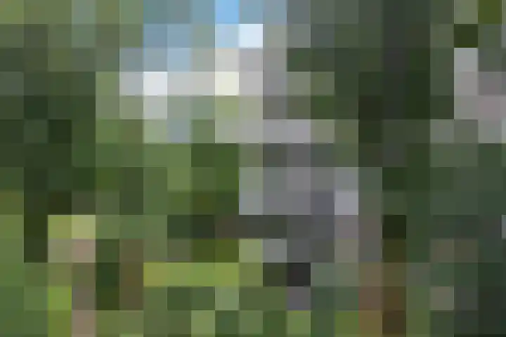 Vijverlaan 20 Heerenveen thumbnail 44