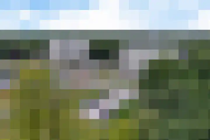 Vijverlaan 20 Heerenveen thumbnail 45