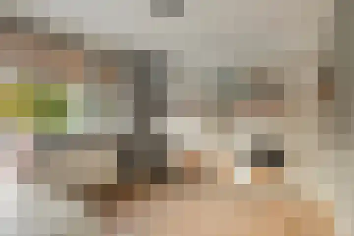 Vijverlaan 21 Scherpenzeel thumbnail 17