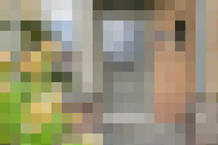 Vijverlaan 21 Scherpenzeel thumbnail 26