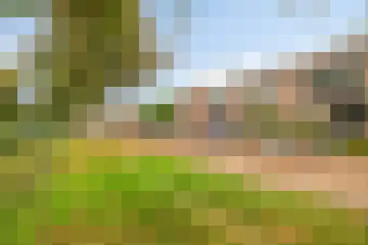 Vijverlaan 21 Scherpenzeel thumbnail 28
