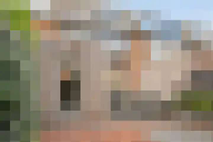 Vijverlaan 21 Scherpenzeel foto 3