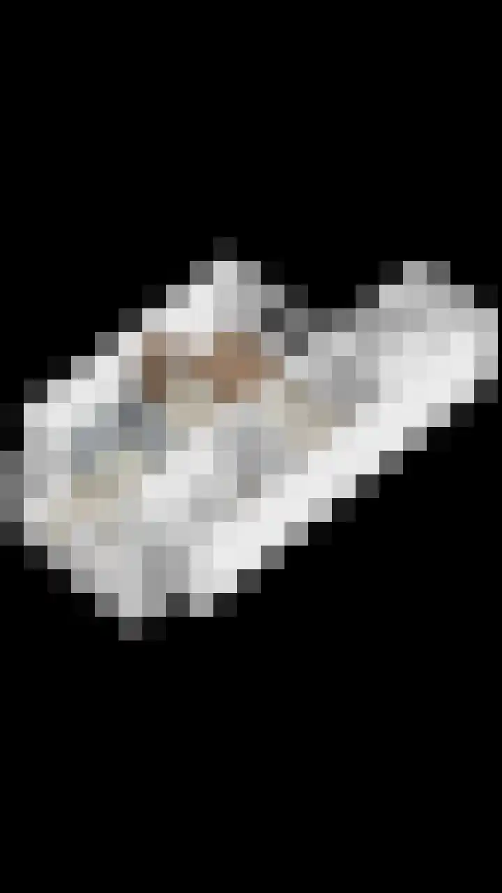 Vijverlaan 21 Scherpenzeel thumbnail 34