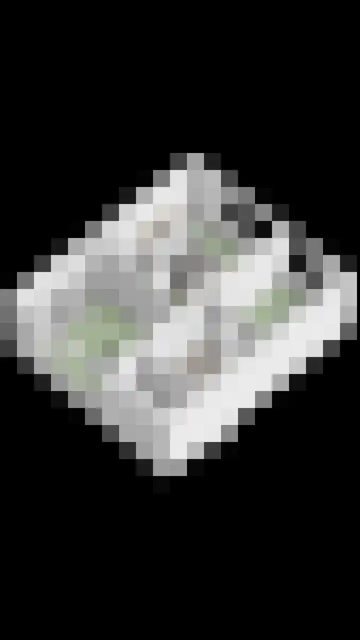 Vijverlaan 21 Scherpenzeel thumbnail 35