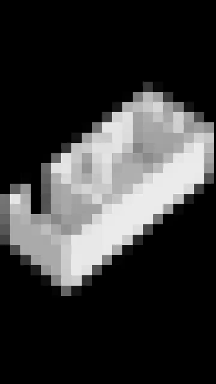 Vijverlaan 21 Scherpenzeel thumbnail 37