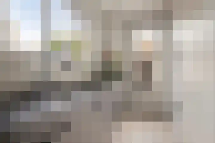 Vijverlaan 21 Scherpenzeel thumbnail 9