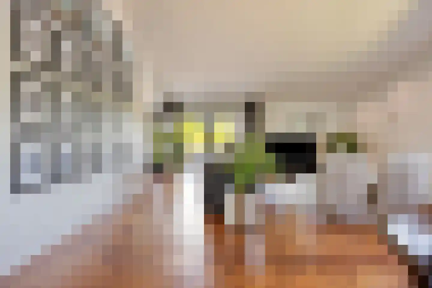 Vijverlaan 21 Uden thumbnail 11
