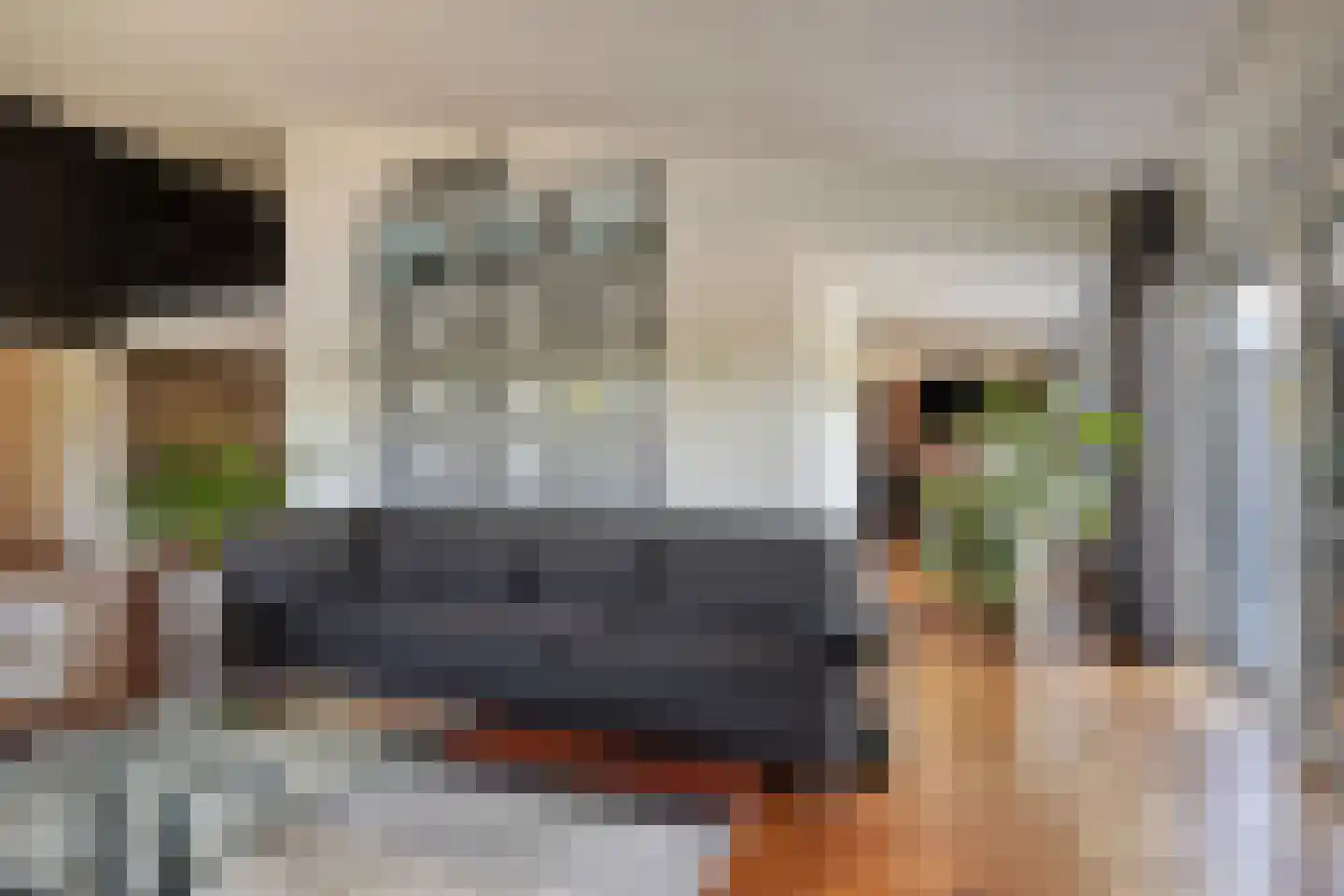 Vijverlaan 21 Uden thumbnail 14