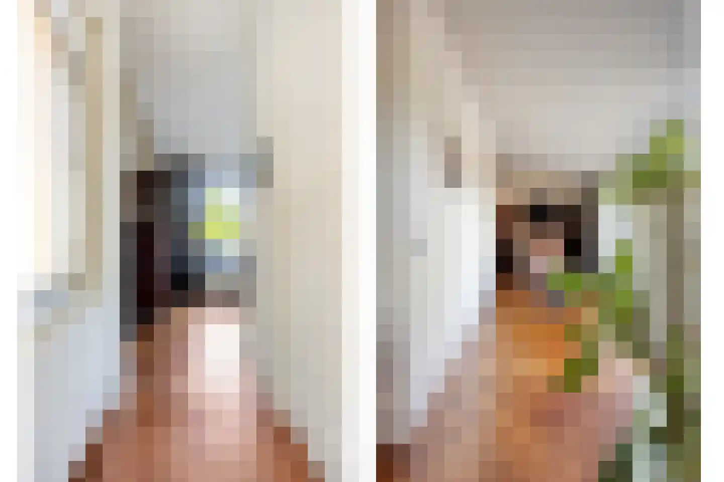 Vijverlaan 21 Uden thumbnail 15