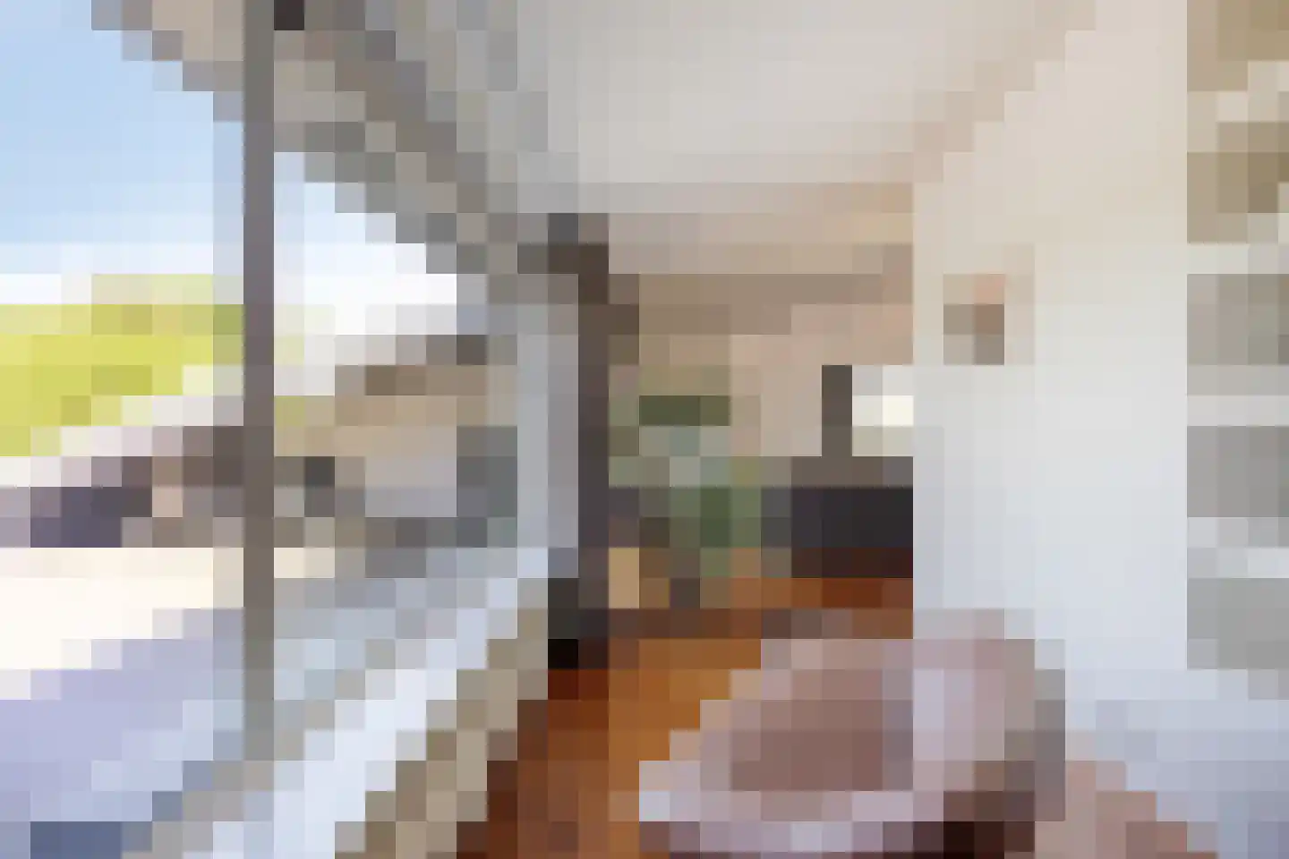 Vijverlaan 21 Uden thumbnail 16