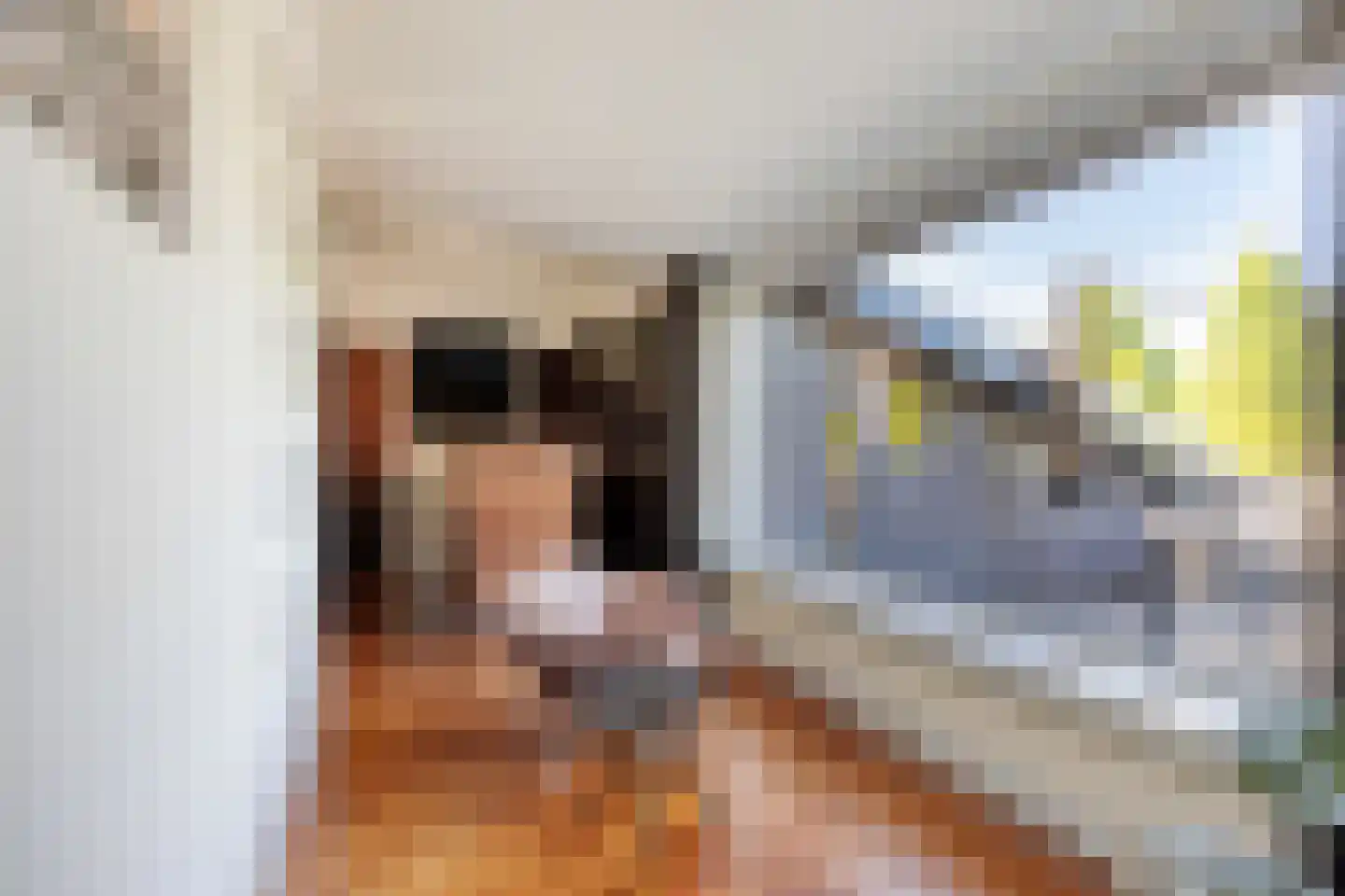 Vijverlaan 21 Uden thumbnail 17