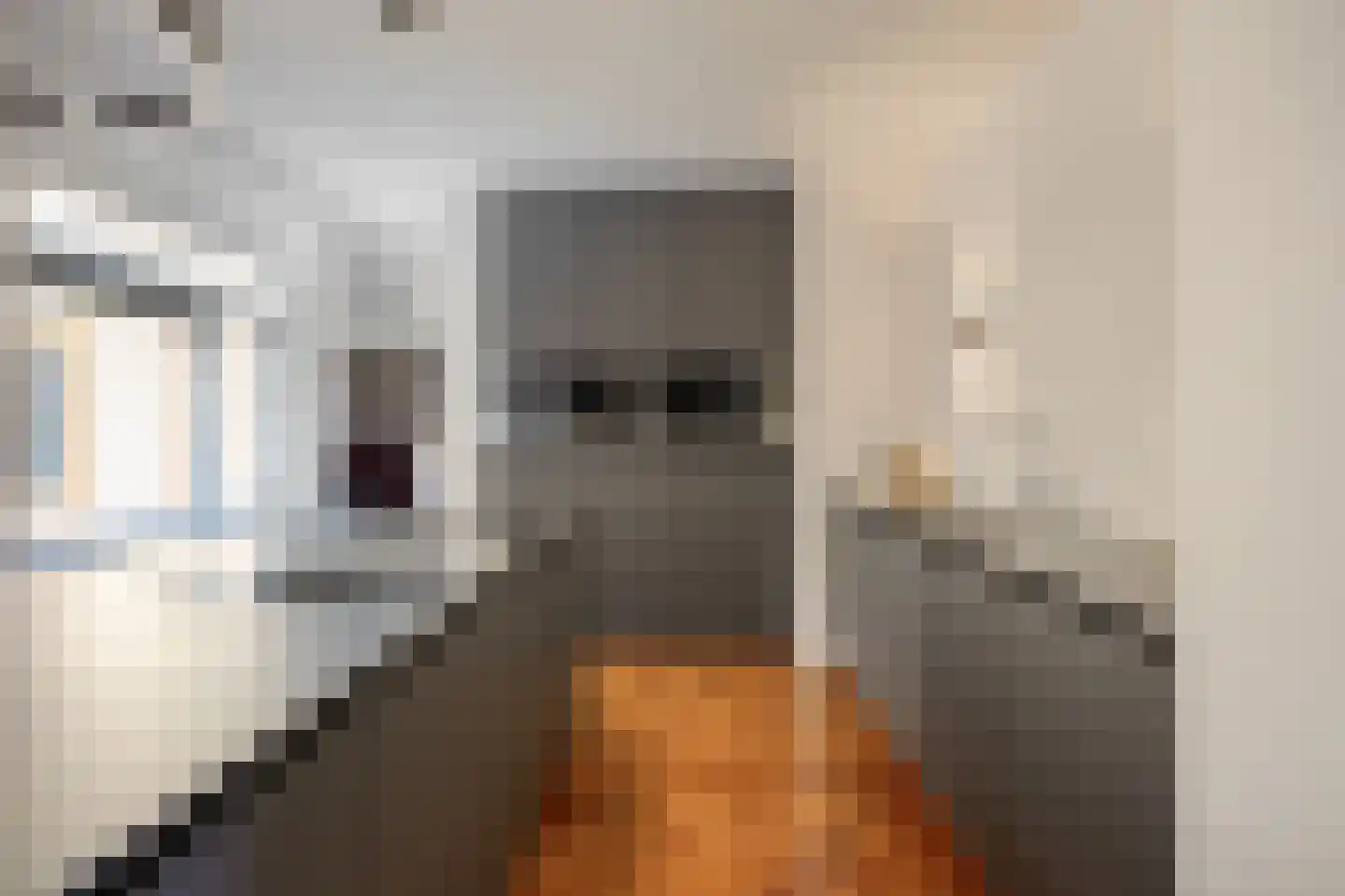 Vijverlaan 21 Uden thumbnail 22