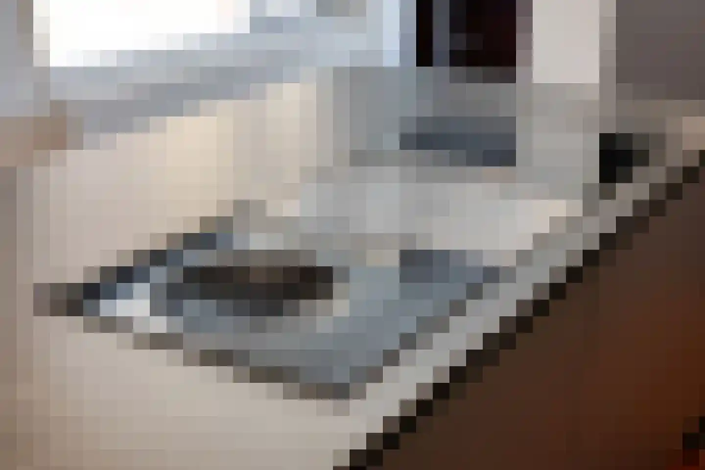 Vijverlaan 21 Uden thumbnail 28