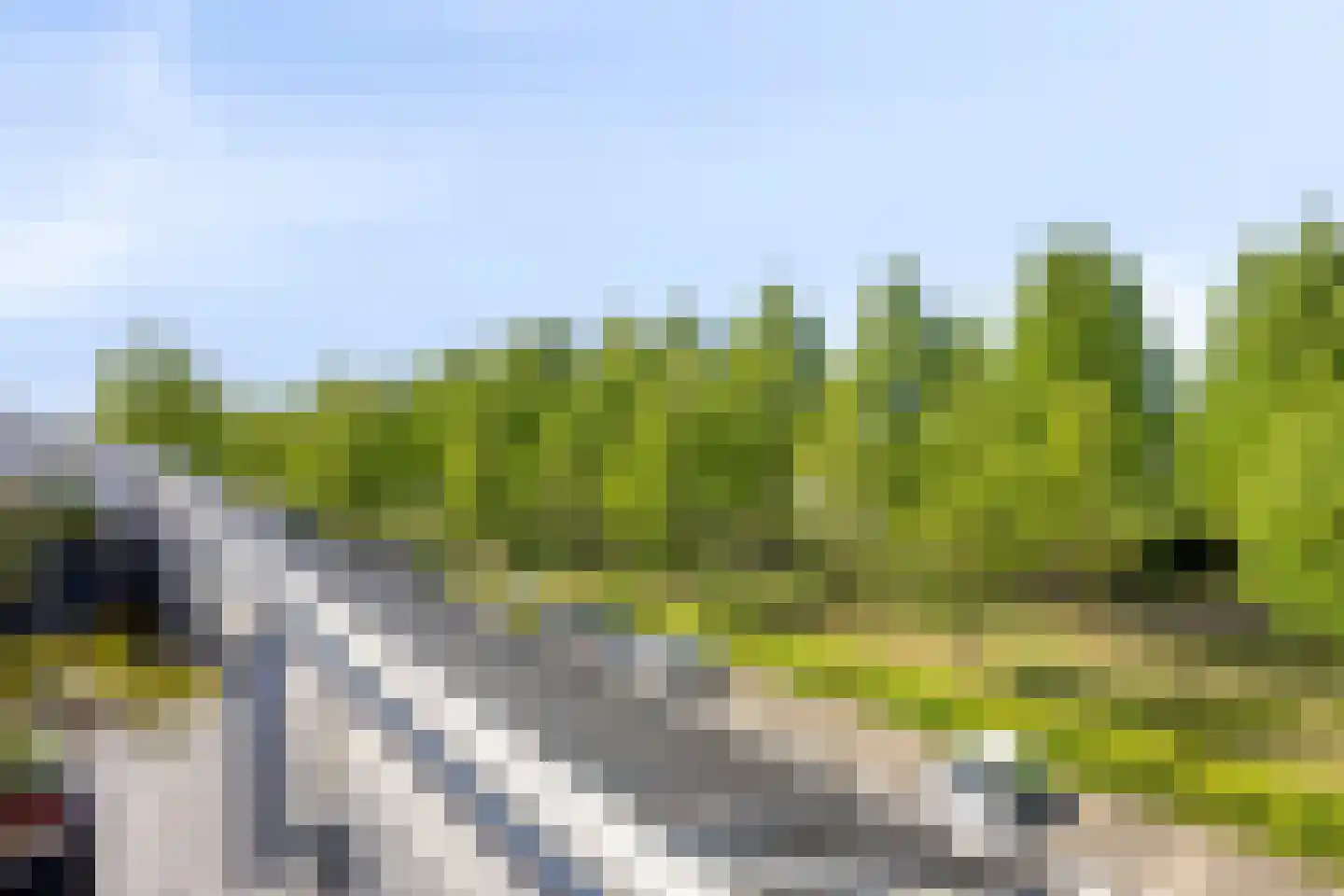 Vijverlaan 21 Uden thumbnail 46
