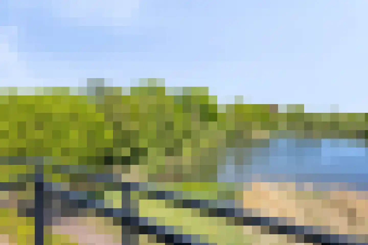 Vijverlaan 21 Uden thumbnail 51