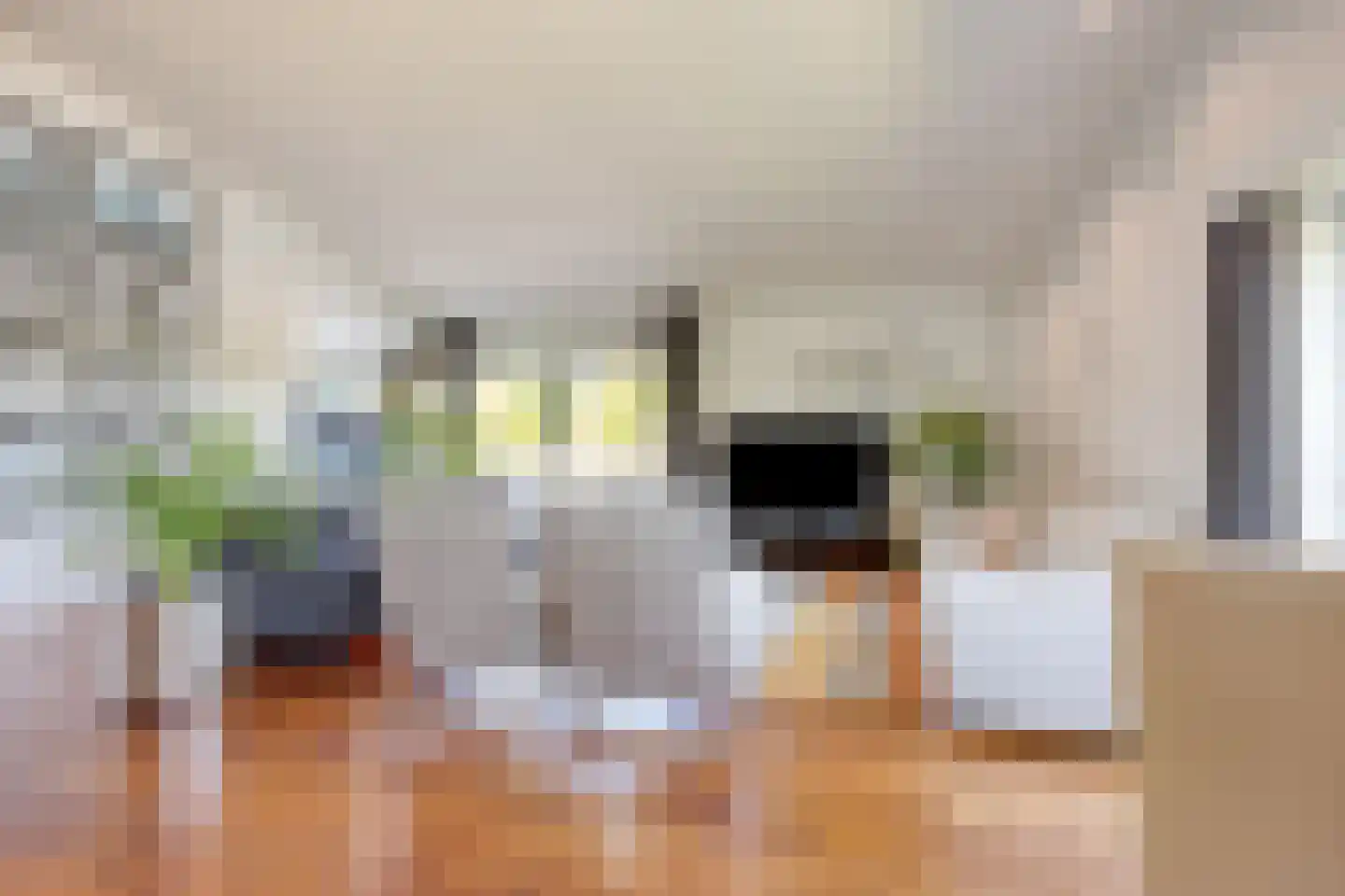 Vijverlaan 21 Uden thumbnail 6