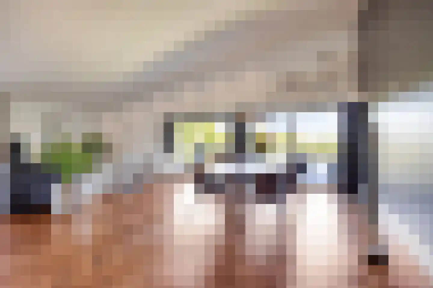 Vijverlaan 21 Uden thumbnail 8