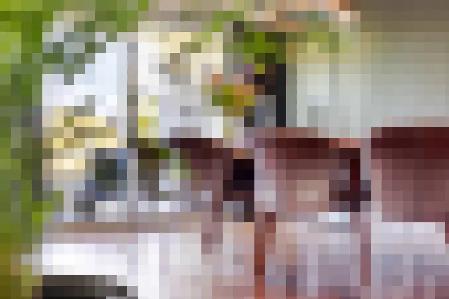 Vijverlaan 21 Uden thumbnail 9