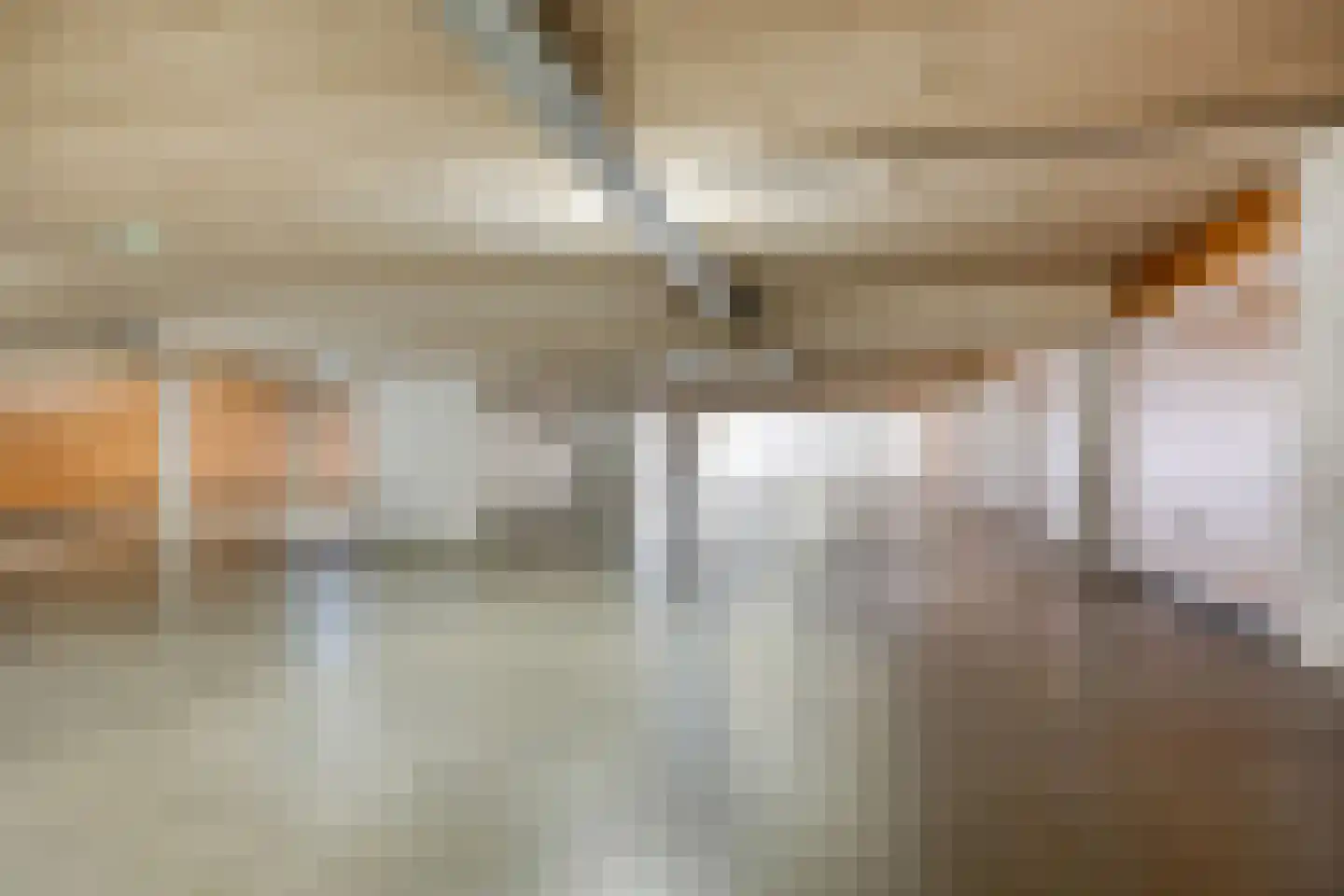 Vijverlaan 21 Uden thumbnail 90