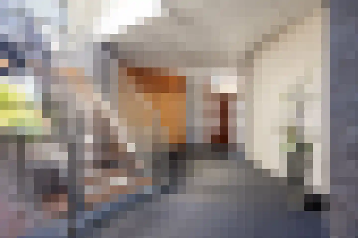 Vijverlaan 21 Uden thumbnail 97