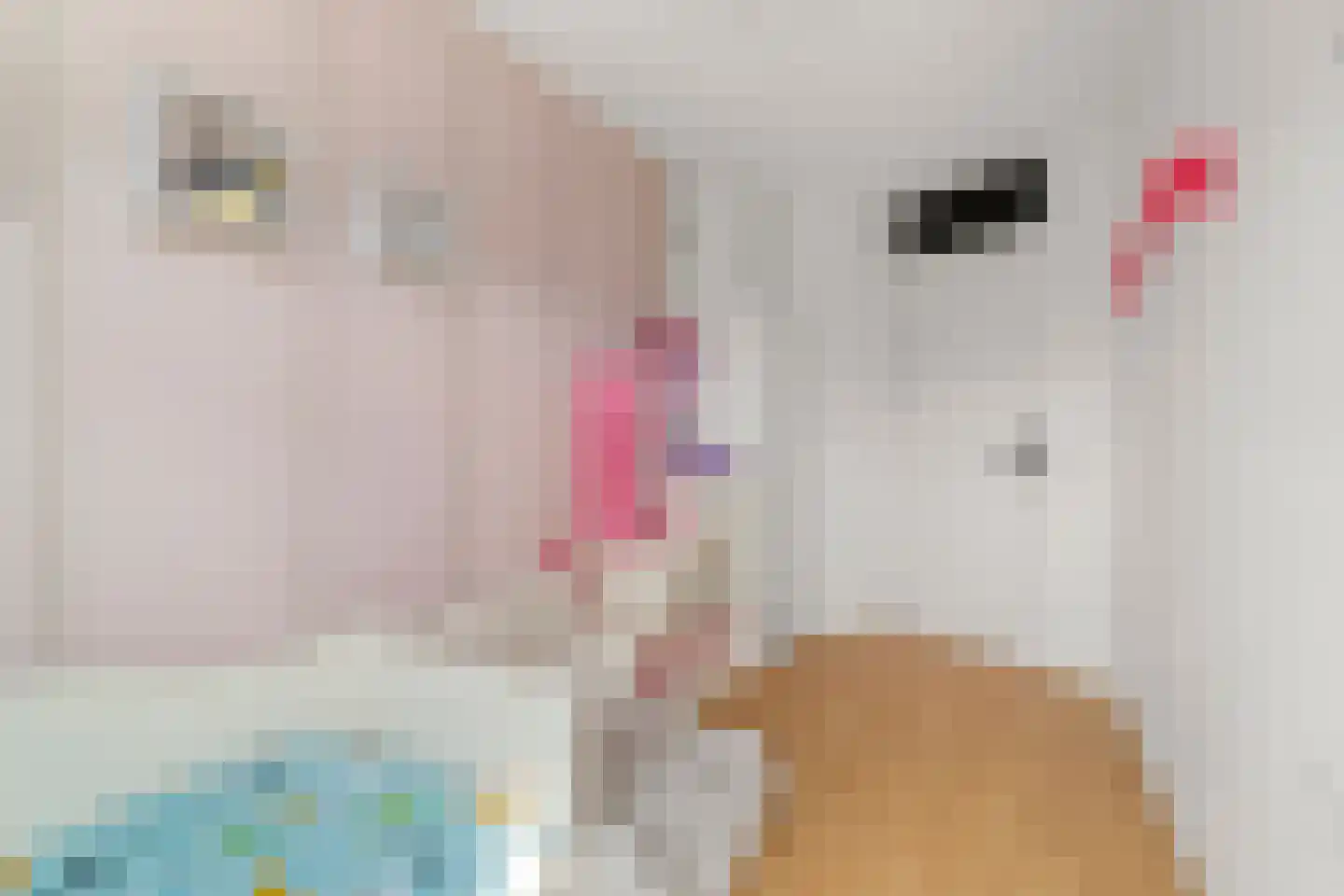 Vijverlaan 23 Heiloo thumbnail 29