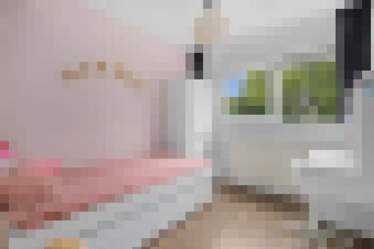 Vijverlaan 23 Heiloo thumbnail 30