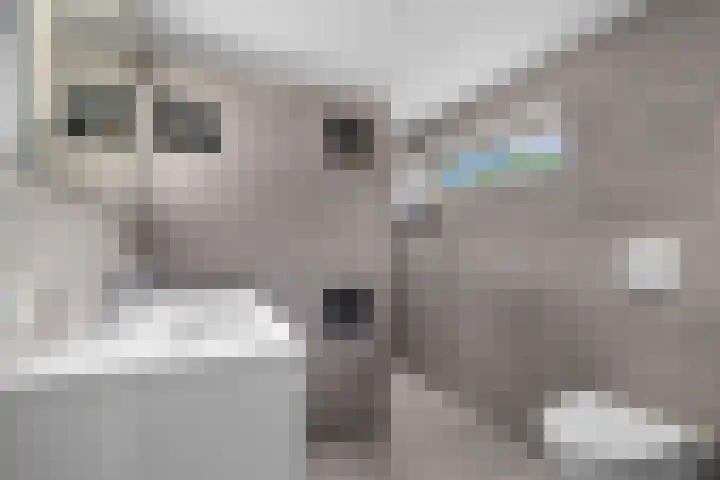 Vijverlaan 23 Heiloo thumbnail 4