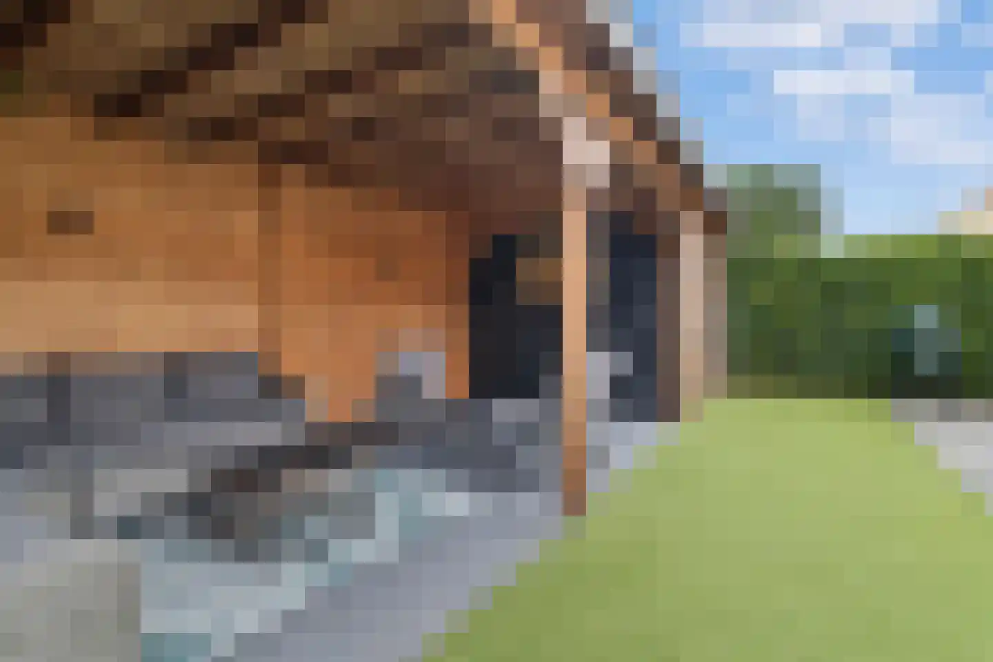 Vijverlaan 23 Heiloo thumbnail 43