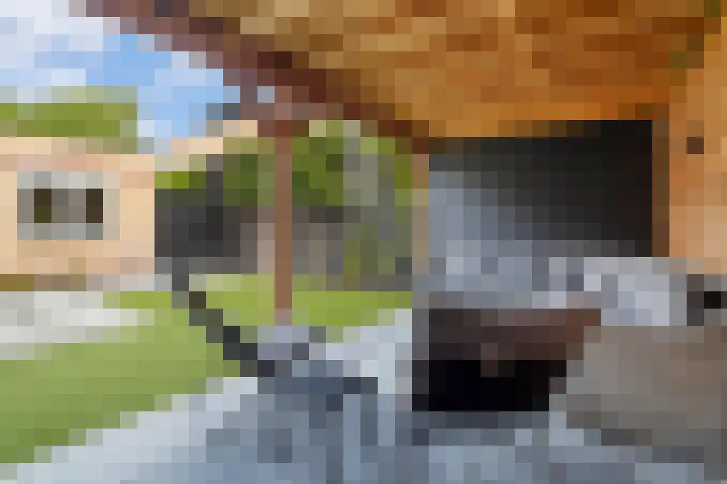 Vijverlaan 23 Heiloo thumbnail 44