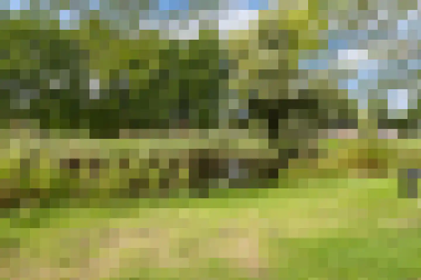 Vijverlaan 23 Heiloo thumbnail 50