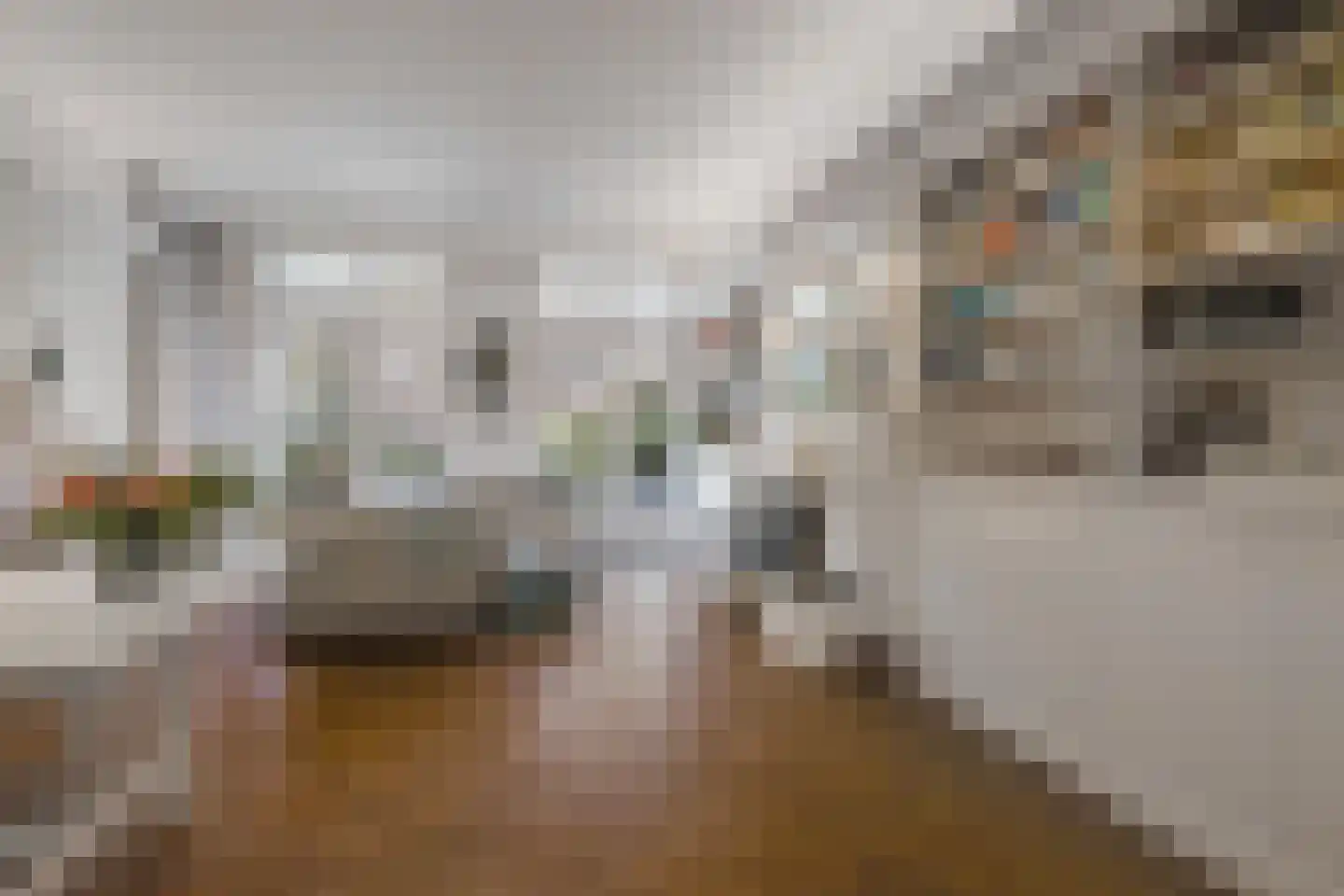 Vijverlaan 24 Rotterdam thumbnail 10