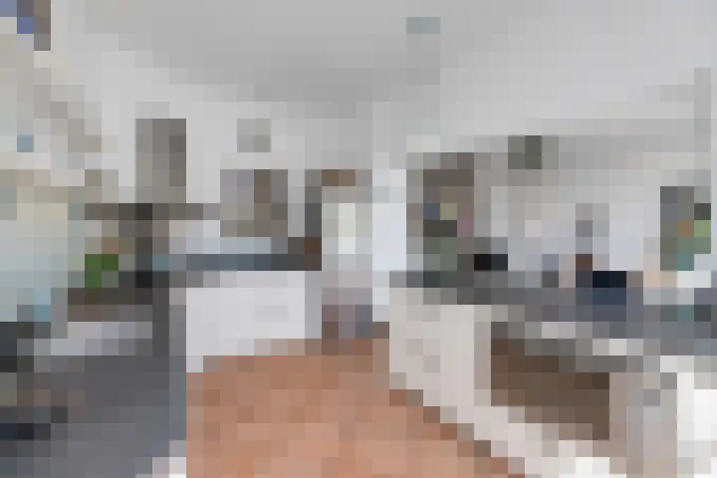 Vijverlaan 24 Rotterdam thumbnail 18