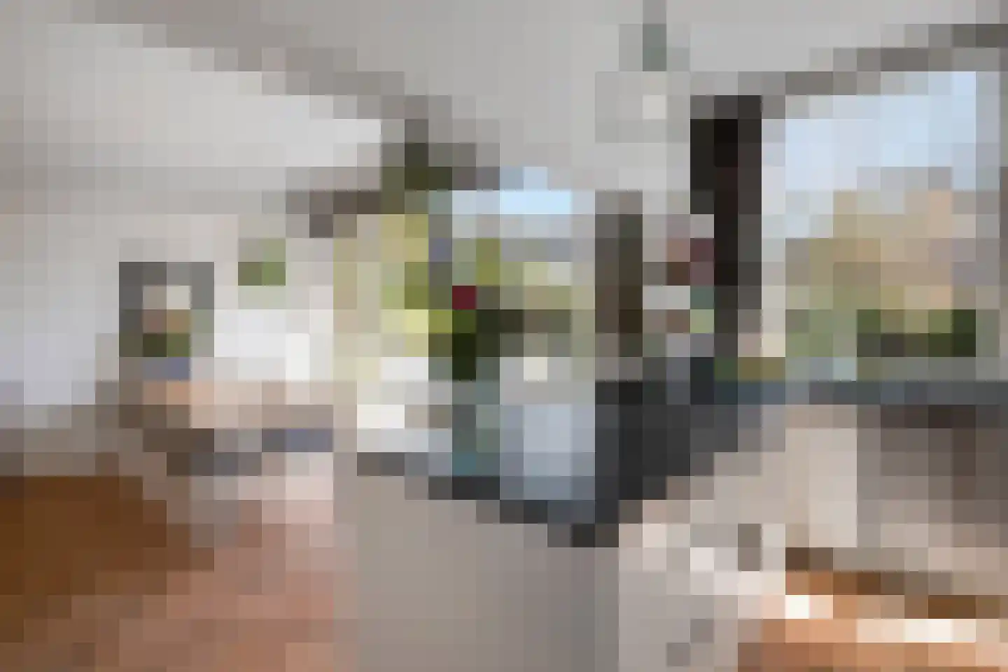 Vijverlaan 24 Rotterdam thumbnail 19