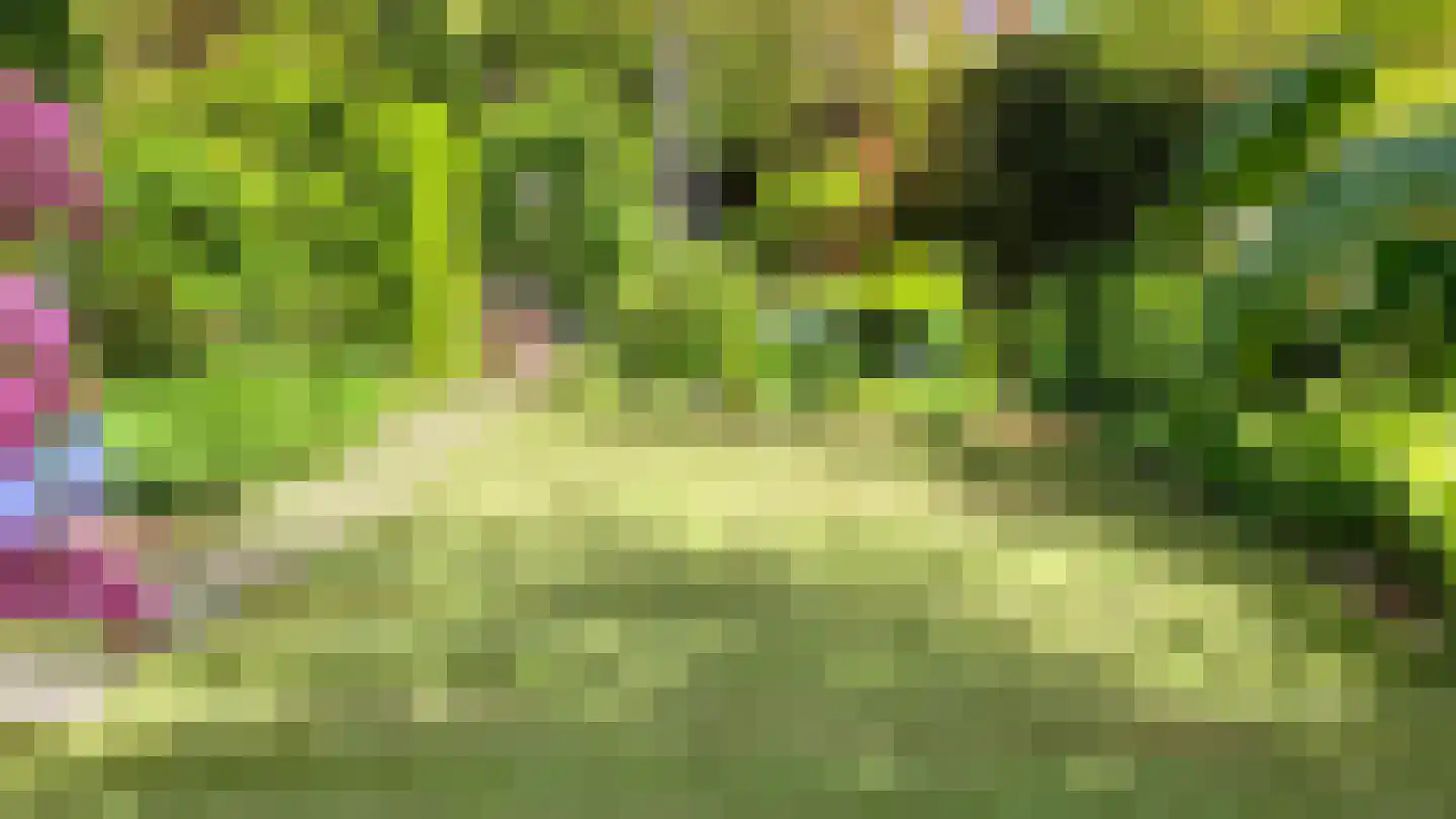 Vijverlaan 24 Rotterdam thumbnail 21