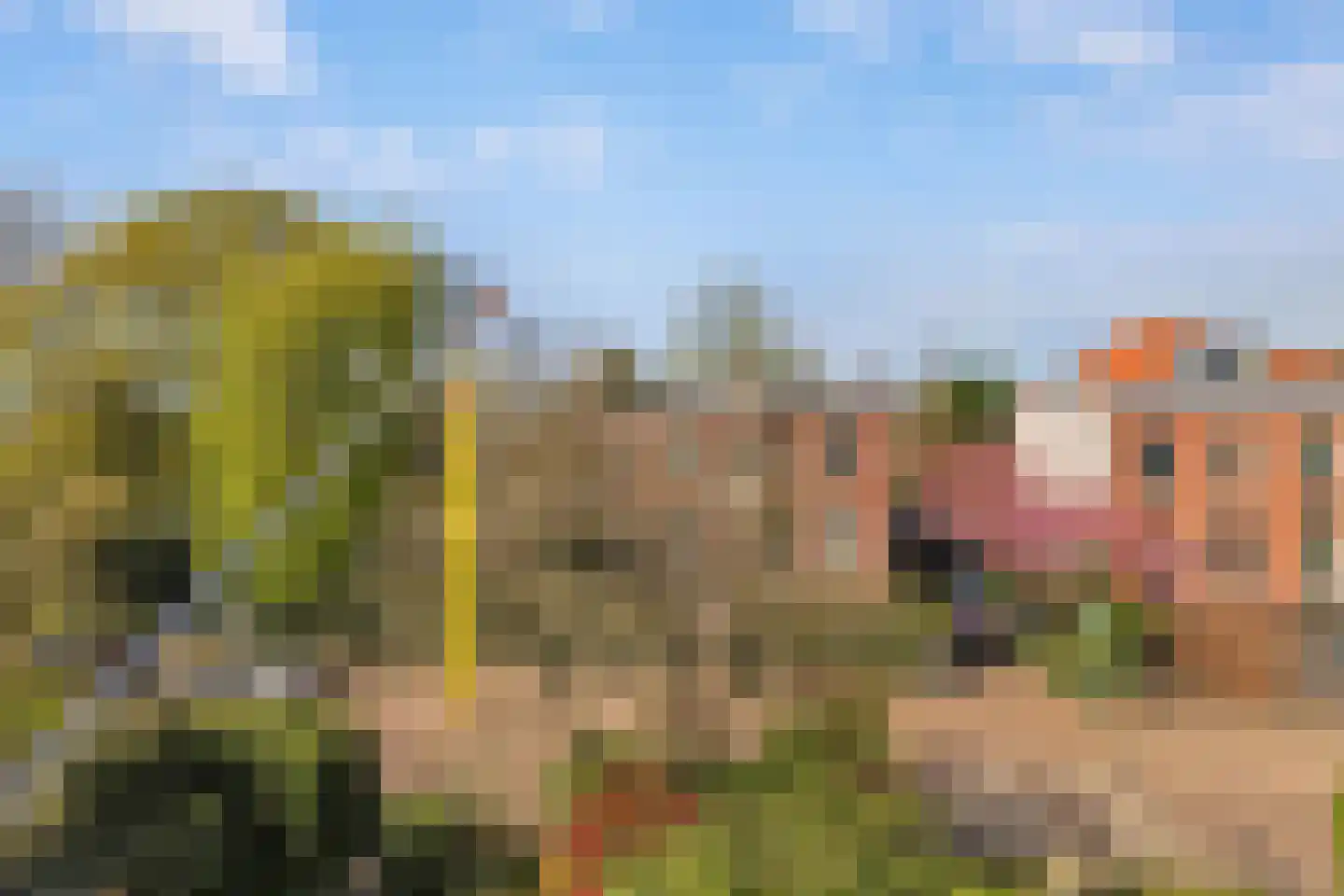 Vijverlaan 24 Rotterdam thumbnail 30